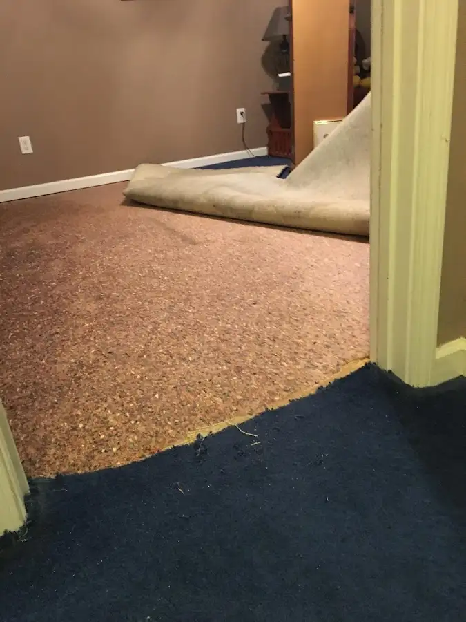 Carpet pad removal revealing water damage during Drying & Dehumidification in Merritt Island
