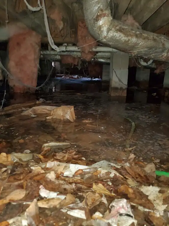 Crawl space flood assessment for Commercial Water Damage Restoration in Merritt Island